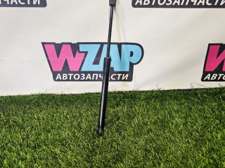 амортизатор капота Tesla Model 3 1 поколение [рестайлинг] 2022, 1091472-00-B