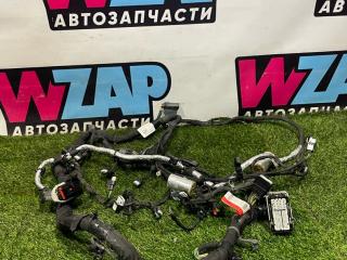 проводка двигателя Ford Mustang 7 поколение S650 2024, 2.3 л., бензин, АКПП, черный, купе, задний привод, PU5T-12C508-UF