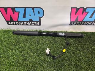 амортизатор двери задней левой Tesla Model X 1 поколение [рестайлинг] 2022, электро, синий, полный привод, 1063440-01-F