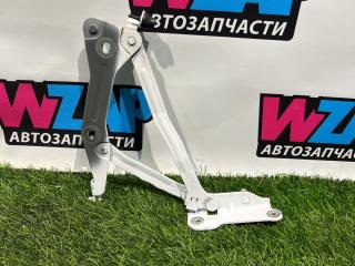 петля крышки багажника Ford Mustang 6 поколение S550 [рестайлинг] 2019, 2.3 л., бензин, АКПП, кабриолет, задний привод, FR3B-6342701-AD