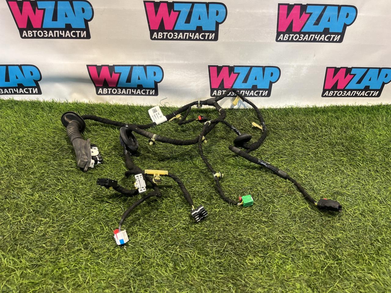 дверная проводка Buick Encore GX 1 поколение (2019 - 2026), 42806616 - фото №1