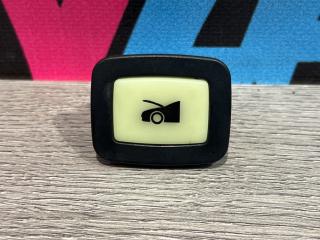 кнопка открытия багажника Tesla Model S 1 поколение [рестайлинг] 2018, электро, седан, 1002066-00-A