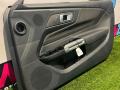 обшивка двери передняя правая Ford Mustang 7 поколение S650 2024, 2.3 л., бензин, АКПП, черный, купе, задний привод - фото №6