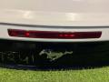 крышка багажника (дверь 3-5) Ford Mustang 6 поколение S550 [рестайлинг] 2019, 2.3 л., бензин, АКПП, кабриолет, задний привод - фото №7