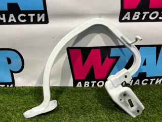 петля крышки багажника Volkswagen Jetta 7 поколение 2019, 1.4 л., бензин, АКПП, седан, передний привод, 17A827301