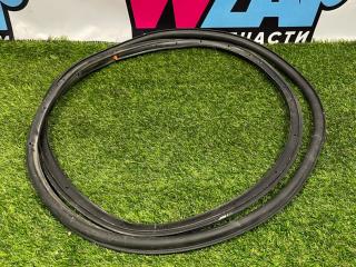 уплотнитель двери Ford Escape 4 поколение CX482 2020, 1.5 л., бензин, АКПП, внедорожник 5 дв., передний привод