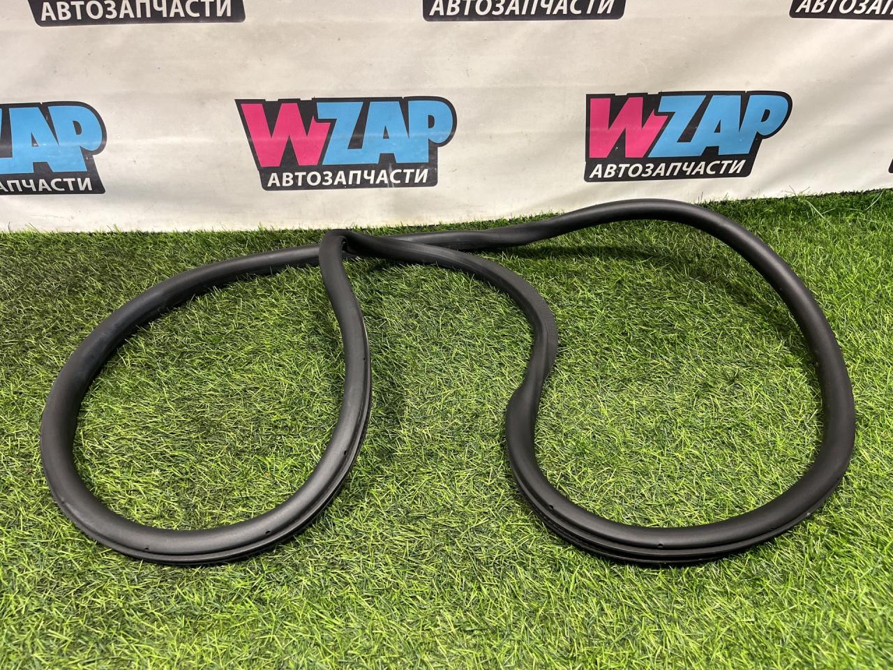 уплотнитель Ford Escape 4 поколение CX482 2020, 1.5 л., бензин, АКПП, внедорожник 5 дв., LJ6B-S253A20-AA - фото №1