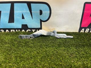 петля двери Tesla Model X 1 поколение [рестайлинг] 2022, электро