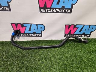 патрубок (трубопровод, шланг) Tesla Model 3 1 поколение [рестайлинг] 2022, 150134500B