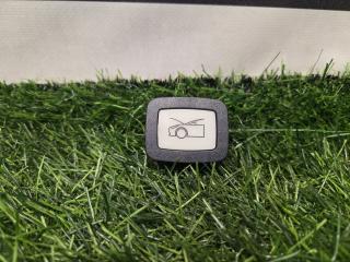 кнопка открытия багажника Tesla Model 3 1 поколение [рестайлинг] 2022, P151618500A