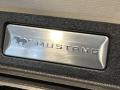 накладка на торпедо (консоль) Ford Mustang 6 поколение S550 [рестайлинг] 2021, 2.3 л., бензин, АКПП, оранжевый, купе, задний привод, FR3B63044B88 - фото №4