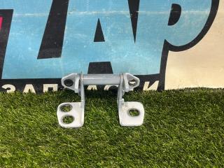 петля двери Tesla Model X 1 поколение [рестайлинг] 2022, электро