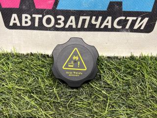 пробка расширительного бачка Tesla Model S 1 поколение [рестайлинг] (2016 - 2021), 6007612-00-A