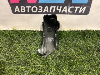 петля двери Ford Edge 2 поколение CD539 [рестайлинг] 2022, 2.0 л., бензин, АКПП, внедорожник 5 дв., полный привод