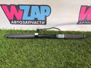 амортизатор двери задней левой Tesla Model X 1 поколение [рестайлинг] 2022, электро, синий, полный привод, 1063440-00-F