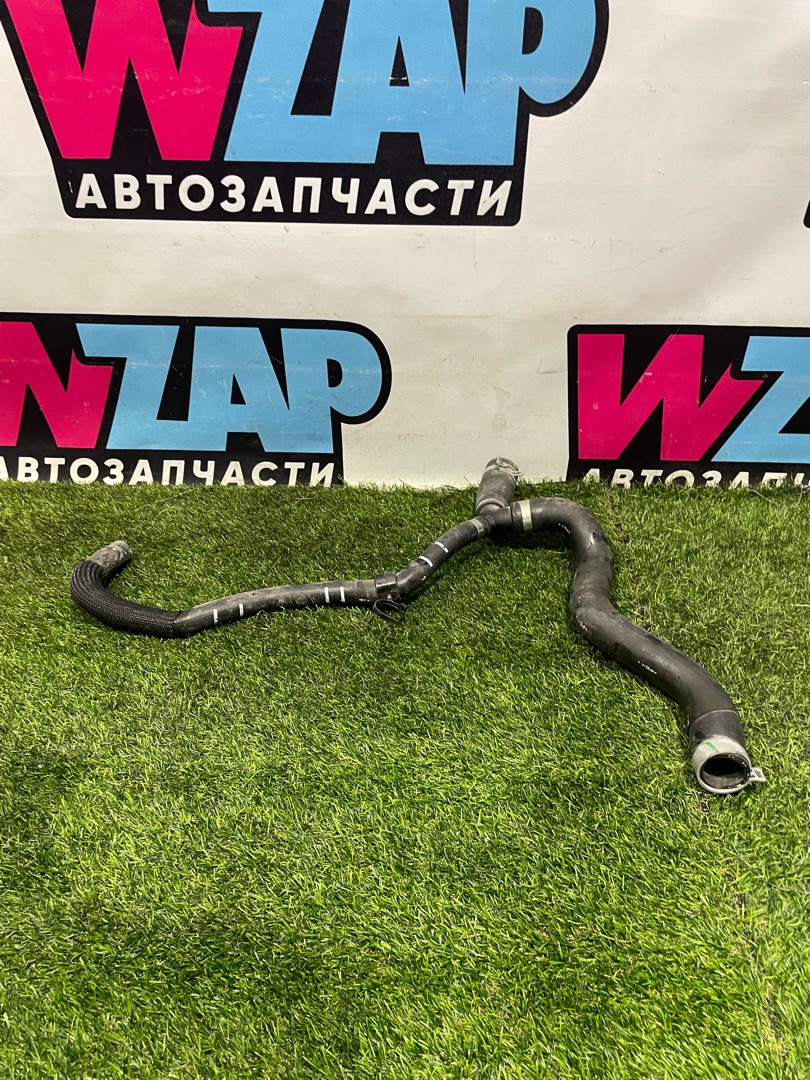 патрубок радиатора Ford Escape 4 поколение CX482 2021, 1.5 л., бензин, АКПП, внедорожник 5 дв., полный привод, LX61-8B274-AAF - фото №1