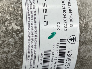 пневмостойка задняя Tesla Model X 1 поколение 2017, электро, белый, 1027461-00-G