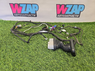 дверная проводка Dodge Challenger 3 поколение [2-й рестайлинг] 2016, 3.6 л., бензин, АКПП, задний привод, P68278030AB, P68241490AA