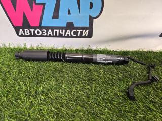 амортизатор двери задней левой Tesla Model X 1 поколение [рестайлинг] 2022, электро, синий, полный привод, 1063441-00-F