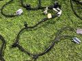 проводка Ford Explorer 6 поколение U625 2020, 2.3 л., бензин, белый, задний привод, L1MT-14B079 - фото №3
