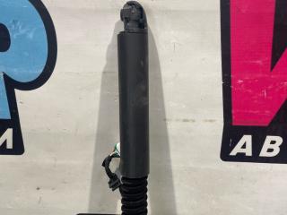 электропривод двери задней Tesla Model X 1 поколение [рестайлинг] 2022, электро, 1063440-00-F