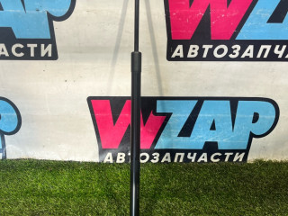 амортизатор крышки багажника (3-5 двери) Ford Escape 4 поколение CX482 2021, 1.5 л., бензин, АКПП, внедорожник 5 дв., передний привод, LJ6B-S406A11-AC