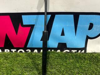 амортизатор крышки багажника (3-5 двери) Ford Mustang 6 поколение S550 [рестайлинг] 2021, 2.3 л., бензин, АКПП, кабриолет, FR3B-76406A10-BB