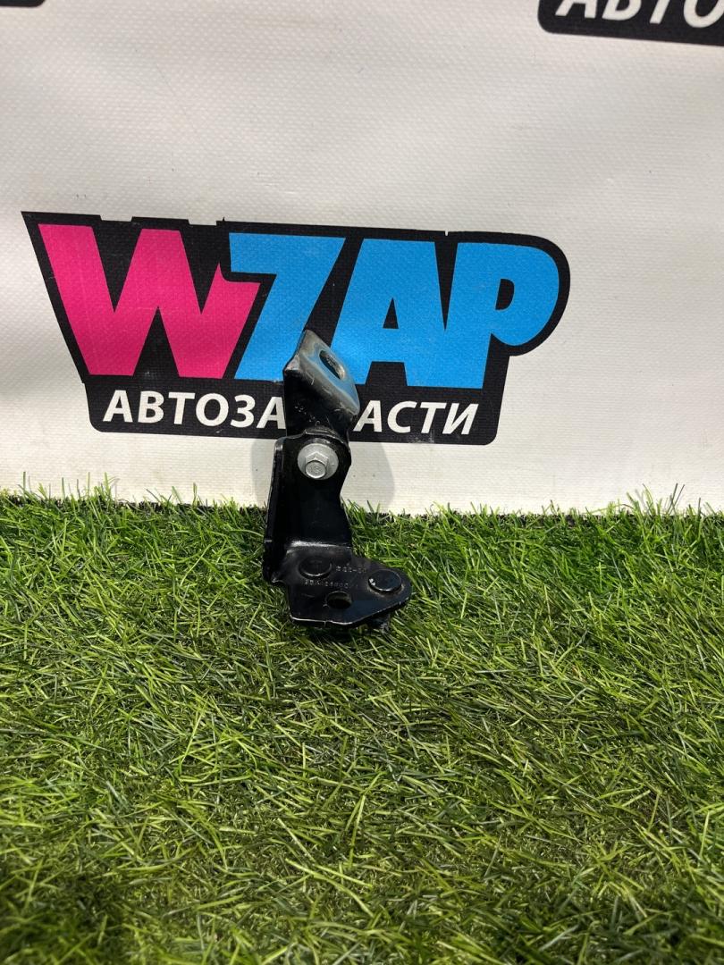 петля двери Ford Escape 4 поколение CX482 2021, 1.5 л., бензин, АКПП, внедорожник 5 дв., передний привод - фото №1