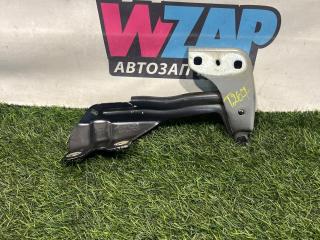 петля капота левая Ford Edge 2 поколение CD539 [рестайлинг] 2022, 2.0 л., бензин, АКПП, внедорожник 5 дв., полный привод, FT4B-R16801-A