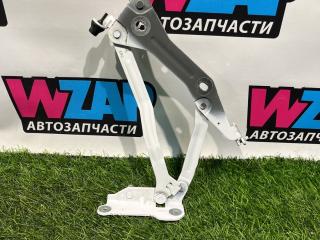 петля крышки багажника Ford Mustang 6 поколение S550 [рестайлинг] 2019, 2.3 л., бензин, АКПП, кабриолет, задний привод, FR3B-6342700-AD