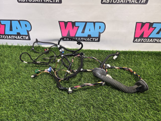 дверная проводка Tesla Model 3 1 поколение [рестайлинг] 2022, 3067957-00-C