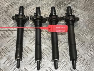 форсунка Citroen C5 2 поколение 2009, 2.0 л., HDi, RHR (DW10BTED4), дизель, АКПП, 9688438580, EJBR06001D