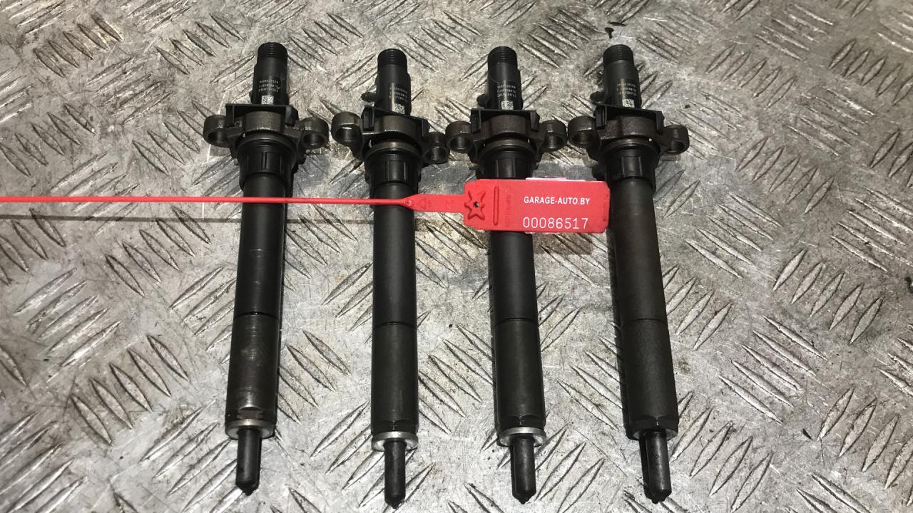 форсунка Citroen C5 2 поколение 2009, 2.0 л., HDi, RHR (DW10BTED4), дизель, АКПП, 9688438580, EJBR06001D - фото №1