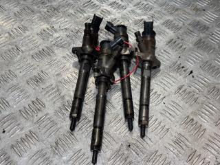 форсунка Citroen C3 Picasso 1 поколение 2010, 1.6 л., дизель, 5МКПП, минивэн, 0445110311