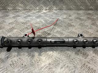 pегулятор давления топлива Volvo V70 2 поколение [рестайлинг] 2007, 2.4 л., D 5244 T, дизель, АКПП, 0281002712