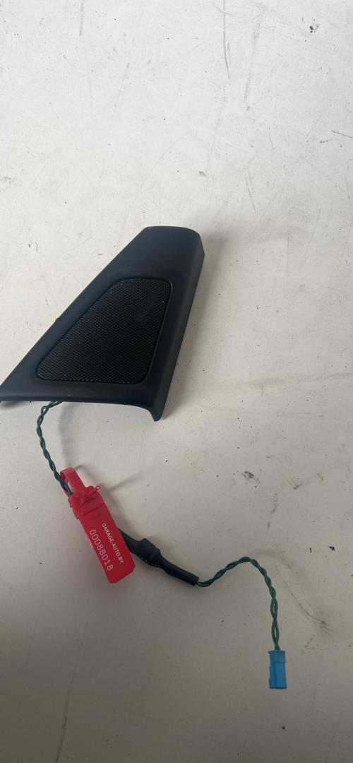 динамик двери BMW 5 серия F07/F10/F11 2012, 2.0 л., N20 B20 A, бензин, АКПП, седан, 9175695 - фото №1