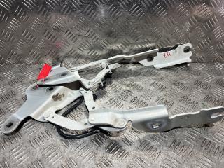 петля капота правая BMW X1 E84 2011, 3.0 л., N52 B30 A, бензин, АКПП, внедорожник 5 дв., 2990360, 2990359