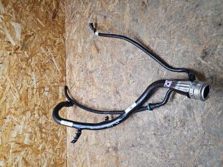 горловина топливного бака BMW X3 G01 [рестайлинг] G01 2023, 2.0 л., B46 B20 B, бензин, АКПП, a300, внедорожник 5 дв., полный привод, 5A343A1