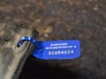 масляный поддон Ford Mondeo 4 поколение [рестайлинг] 2010, 2.0 л., AOBA, бензин, 4M5G6675FJ - фото №4