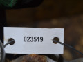 фара противотуманная левая Mercedes-Benz E-Класс W210/S210 (1995 - 1999), 2.3 л., дизель - фото №5