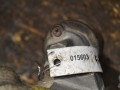 стартер Mercedes-Benz M-Класс W163 2000, 3.2 л., бензин, 1005821904 - фото №5