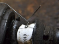 полуось передняя левая (приводной вал, ШРУС) Audi A6 4A/C4 (1994 - 1997), 2.5 л., AAT, дизель, МКПП - фото №3