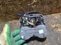 кнопка обогрева сидений Ford Focus 3 поколение 2014, 2.0 л., TYDA, дизель, BM51A047A - фото №2