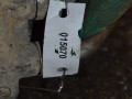 радиатор (основной) Audi Q7 4L 2008, 3.0 л., дизель - фото №4