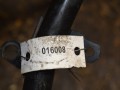 трубка охлаждающей жидкости Audi A4 B8/8K 2010, 2.0 л., дизель, 038121065 - фото №4