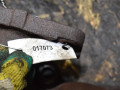 коллектор выпускной Nissan Almera Tino V10 (2000 - 2003), 2.2 л., YD22D, дизель, МКПП - фото №5