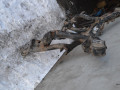 балка подвески задняя Audi Q7 4L 2008, 3.0 л., дизель, 7L0500041 - фото №2