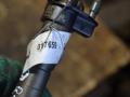 форсунка Audi Q7 4L [рестайлинг] 2009, 3.0 л., TDi, CASA, дизель, АКПП, 059130277BE, 0445116023 - фото №4