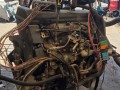 двигатель Renault Master 2 поколение (1998 - 2003), 2.5 л., S8U 772, дизель, S8U772 - фото №9