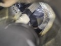 двигатель Renault Scenic 2 поколение (2003 - 2006), 1.5 л., дизель, K9K728, K9KF728 - фото №9